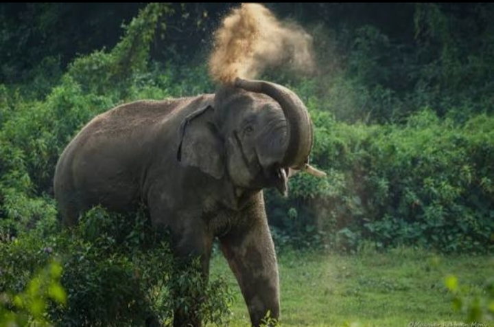 গারো পাহাড়: সবুজের চাদরে মোড়া এক অপরূপ ভূখণ্ড