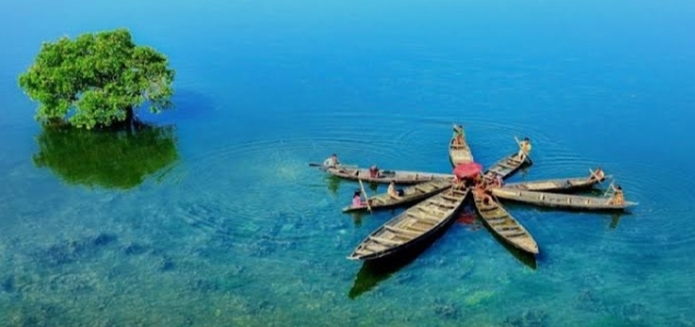 টাঙ্গুয়ার হাওর—প্রকৃতির এক অপূর্ব জলরাজ্য
