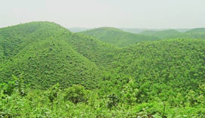 গারো পাহাড়: সবুজের চাদরে মোড়া এক অপরূপ ভূখণ্ড